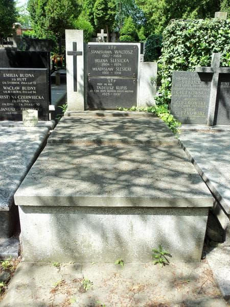 Zdjęcie grobu: Tadeusz Kupis