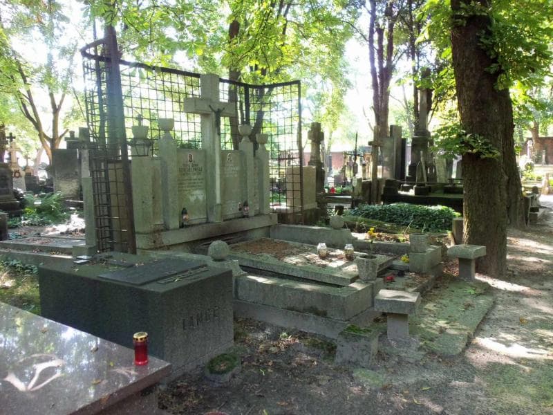Zdjęcie grobu Teofil Ludwik Dzięgelewski (1)