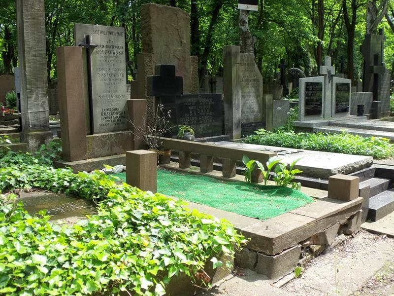 Zdjęcie grobu Aleksander Roszkowski (1)