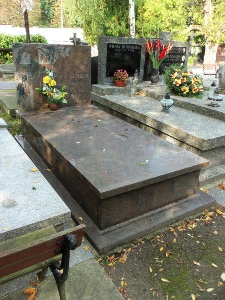 Zdjęcie grobu Ludwika Kledzik (1)