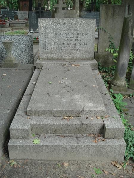 Zdjęcie grobu Helena Sereda (1)