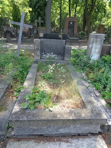 Zdjęcie grobu Józefa Cieszkowska (1)
