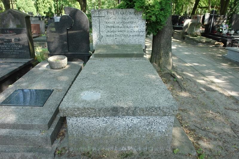 Zdjęcie grobu Krystyna Trepiak (1)