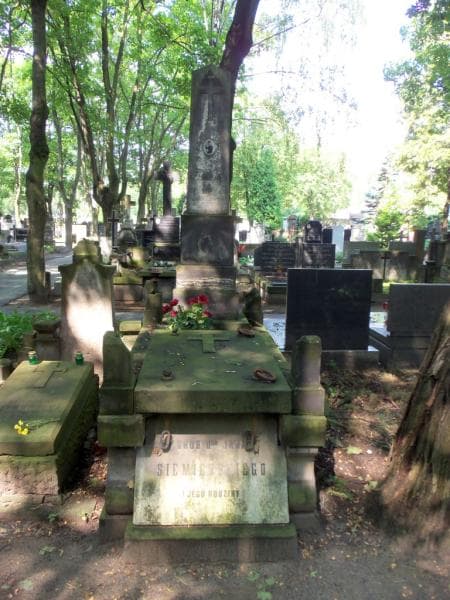 Zdjęcie grobu: Henryka  Marja Siemieńska