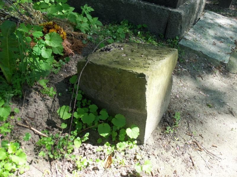 Zdjęcie grobu Anonim (1)