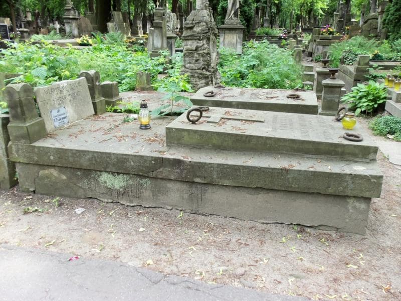 Zdjęcie grobu Aleksander Thieme (1)