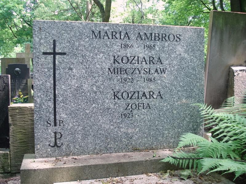 Zdjęcie grobu Maria Ambros (2)