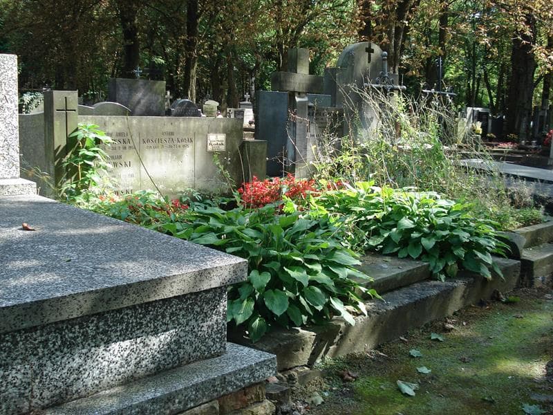 Zdjęcie grobu Antoni Wiesław Kołak (1)