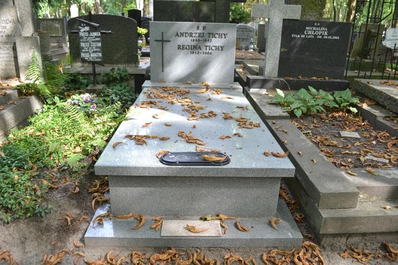 Zdjęcie grobu Andrzej Tichy (1)