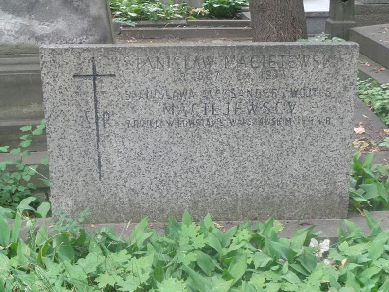 Zdjęcie grobu Aleksander Maciejewski (2)