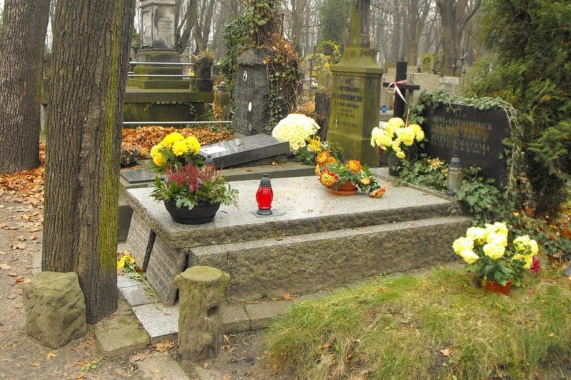 Zdjęcie grobu Ludwika Mierzewska (1)
