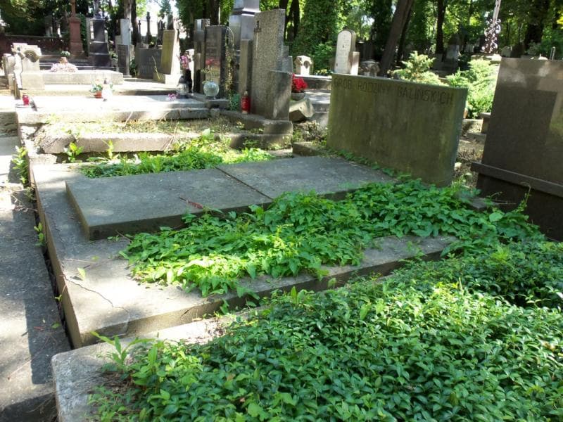 Zdjęcie grobu Balińscy (1)