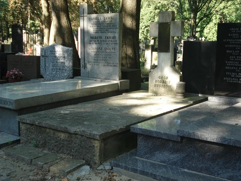 Zdjęcie grobu Ludomir Heger (1)