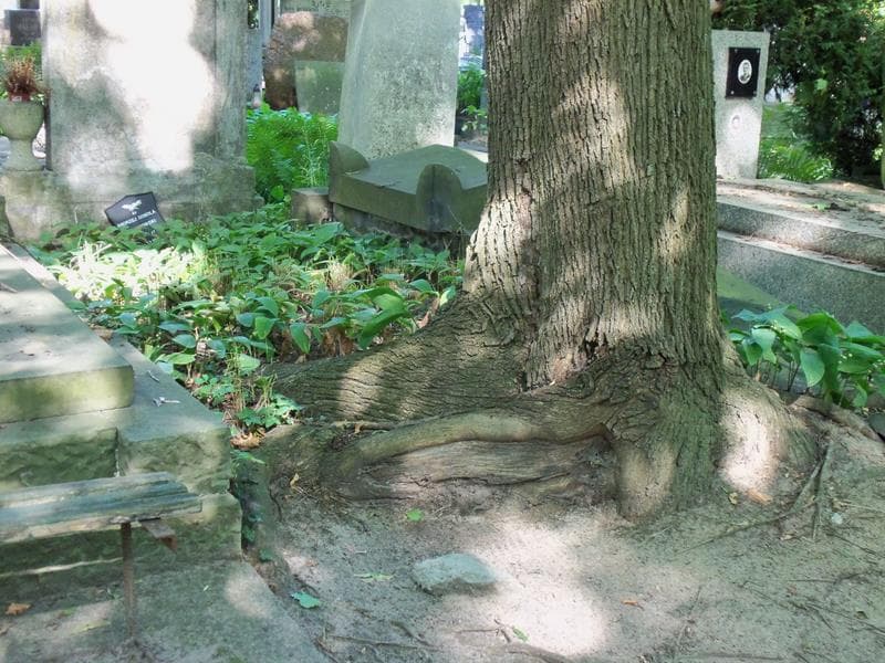 Zdjęcie grobu Pole Grobowe (1)