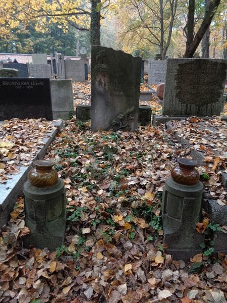 Zdjęcie grobu Teodora Peterkowska (1)