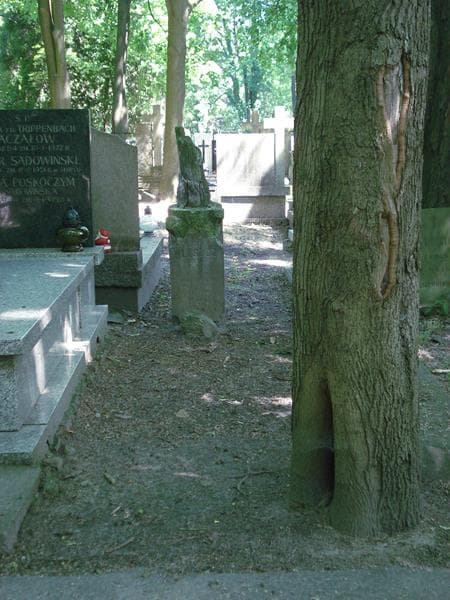 Zdjęcie grobu: Jan Kleszcz