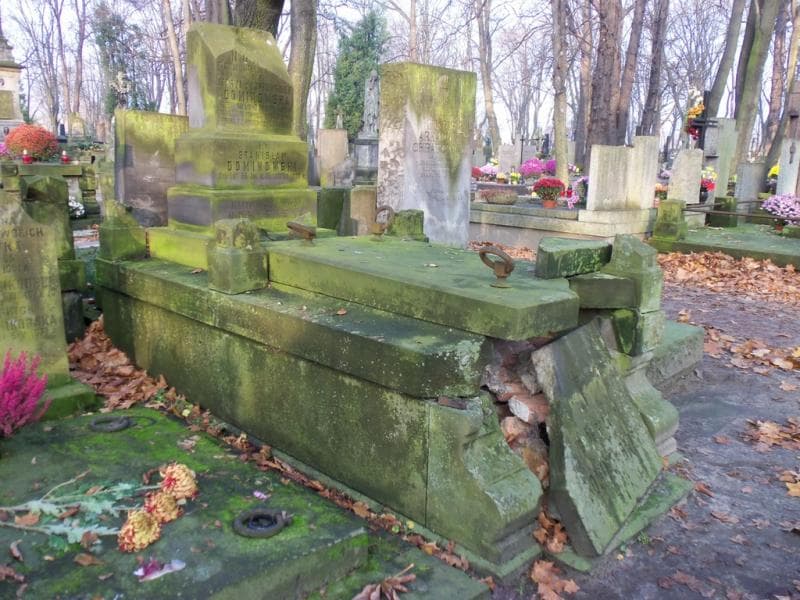 Zdjęcie grobu Marja Dominowska (1)