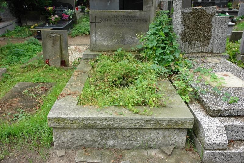 Zdjęcie grobu Zofia Młodzianowska (1)