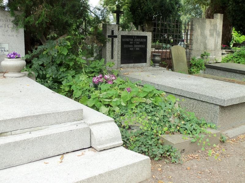 Zdjęcie grobu Zofia Nowosielska (1)