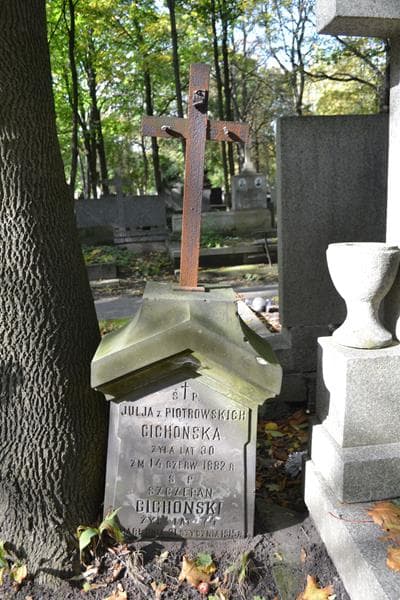 Zdjęcie grobu Szczepan Cichoński (2)