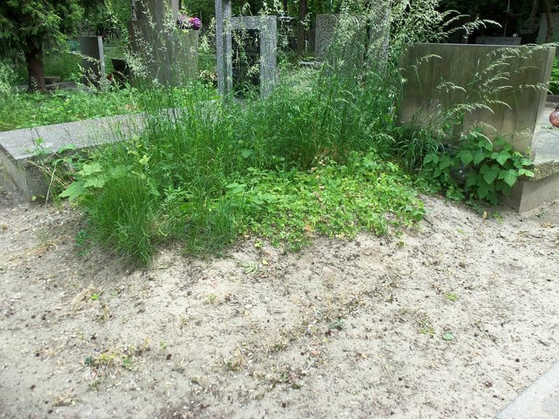 Zdjęcie grobu Pole Grobowe (1)