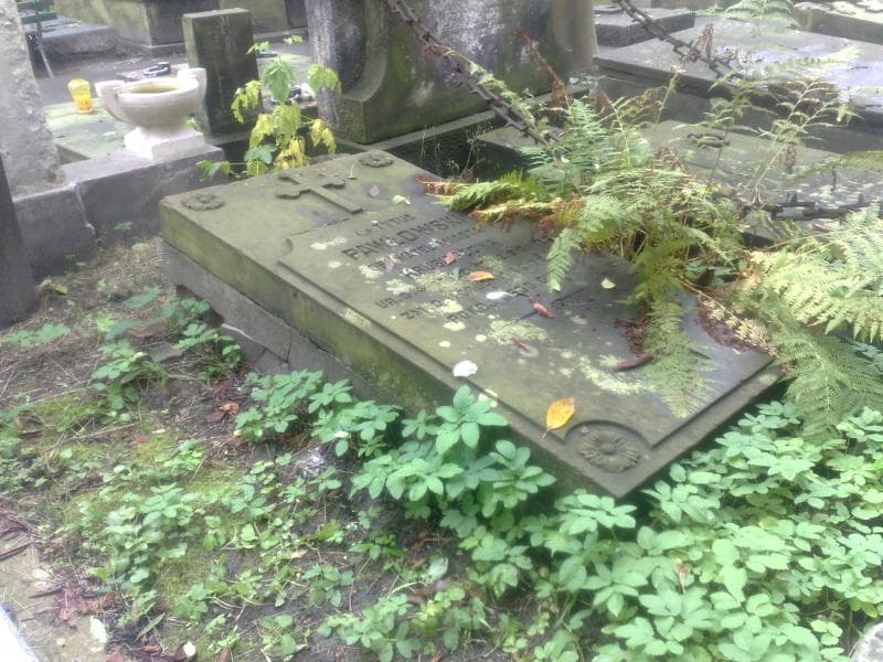 Zdjęcie grobu Tytus Pawłowski (2)