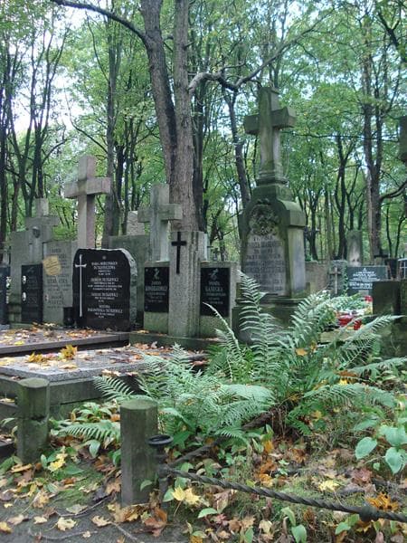 Zdjęcie grobu Kajetan Junosza-Szaniawski (1)