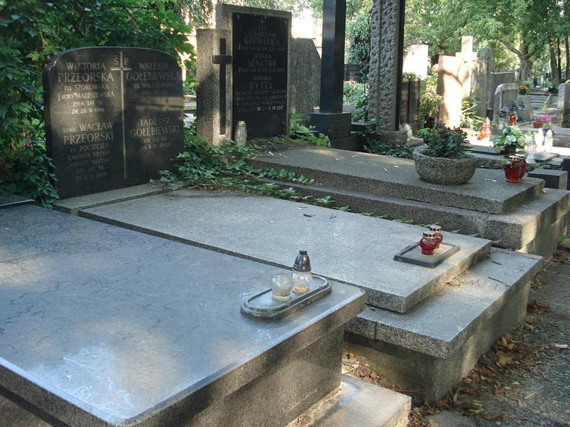Zdjęcie grobu: Tadeusz Gołębiewski