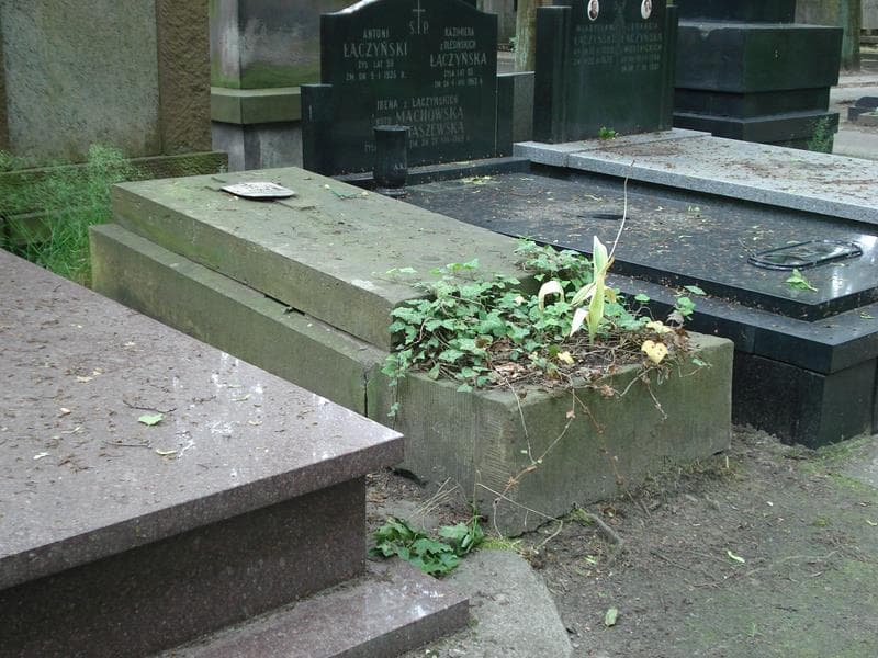 Zdjęcie grobu Józef Trautman (1)