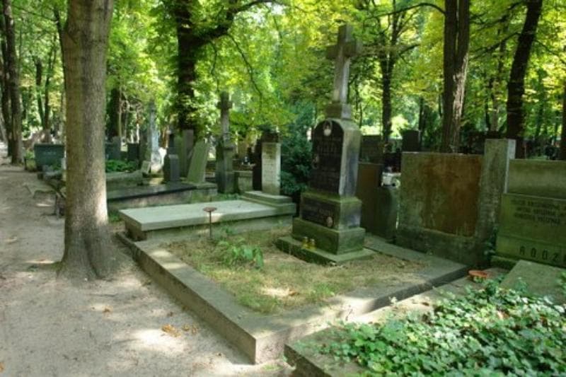 Zdjęcie grobu Władysław Pobóg-Malinowski (1)