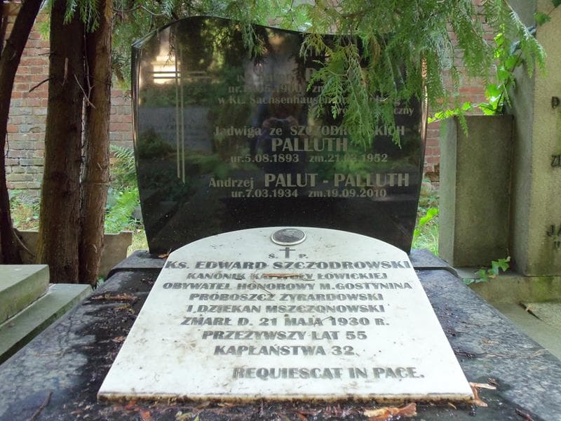 Zdjęcie grobu Edward Szczodrowski (2)