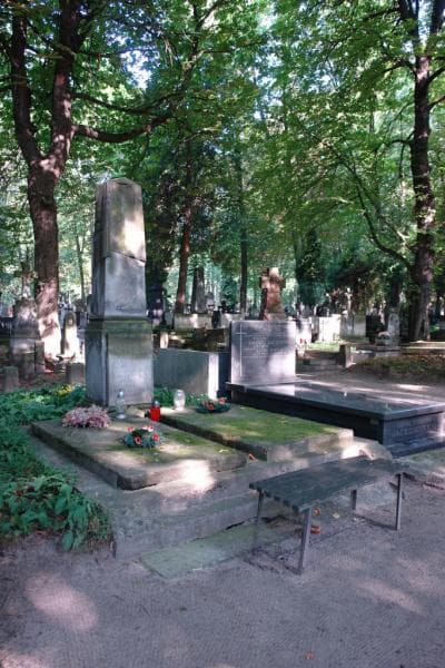 Zdjęcie grobu Juljan Bojanowicz (1)
