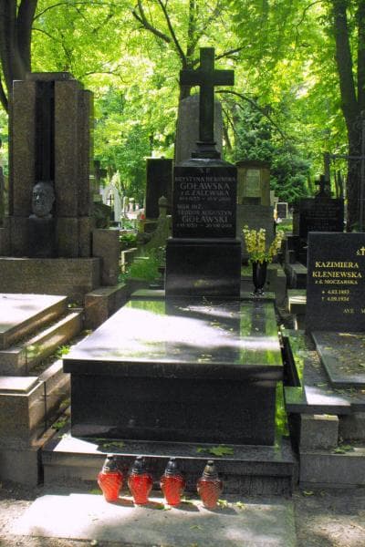 Zdjęcie grobu Teodor Augustyn Goławski (1)