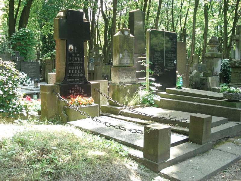 Zdjęcie grobu Apolonia Bastek (1)