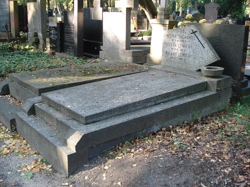 Zdjęcie grobu: Helena Lewicka