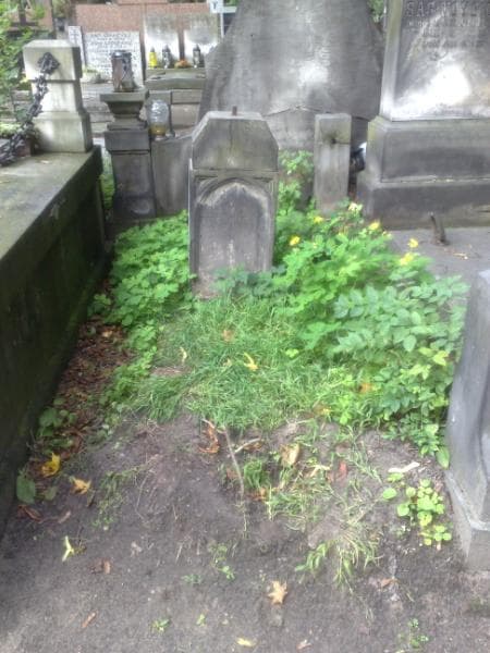 Zdjęcie grobu: Władysław Terpiłowski