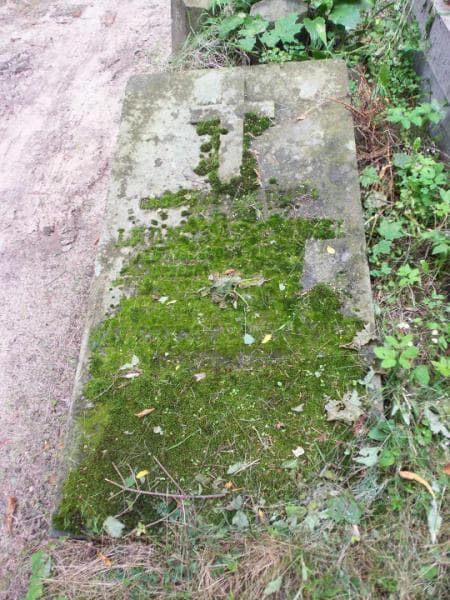 Zdjęcie grobu Walery Olbbatowicz (2)