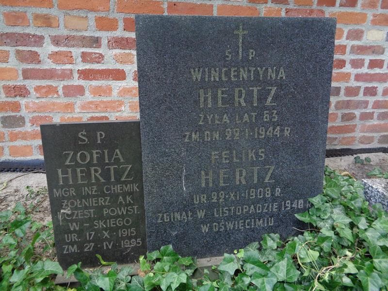 Zdjęcie grobu Wincentyna Hertz (2)