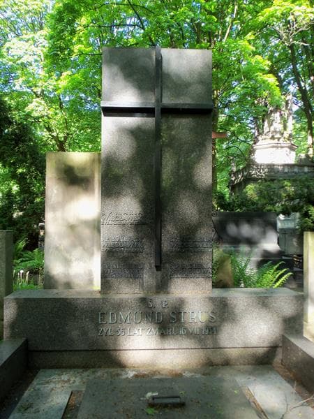 Zdjęcie grobu Edmund Struś (2)