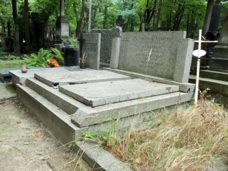 Zdjęcie grobu Henryk Brzeski (1)