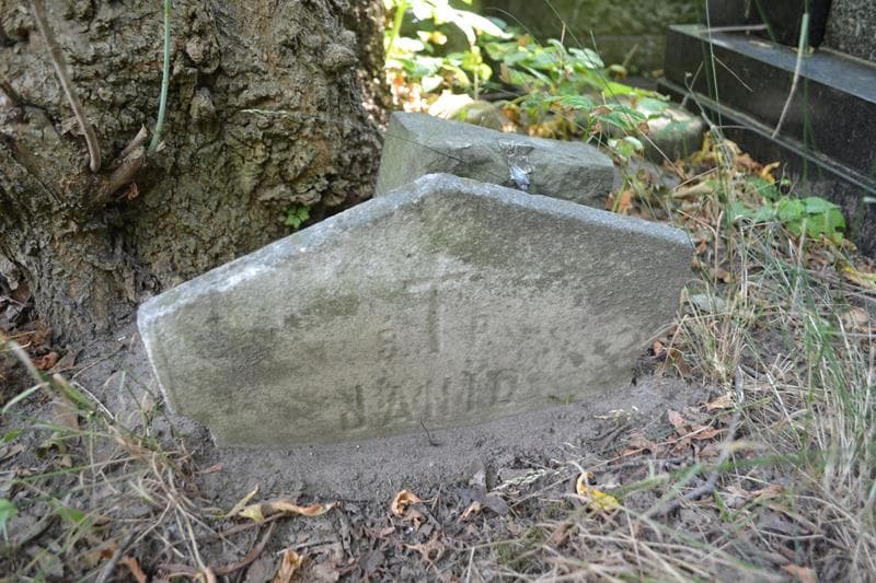 Zdjęcie grobu Janio ... (2)