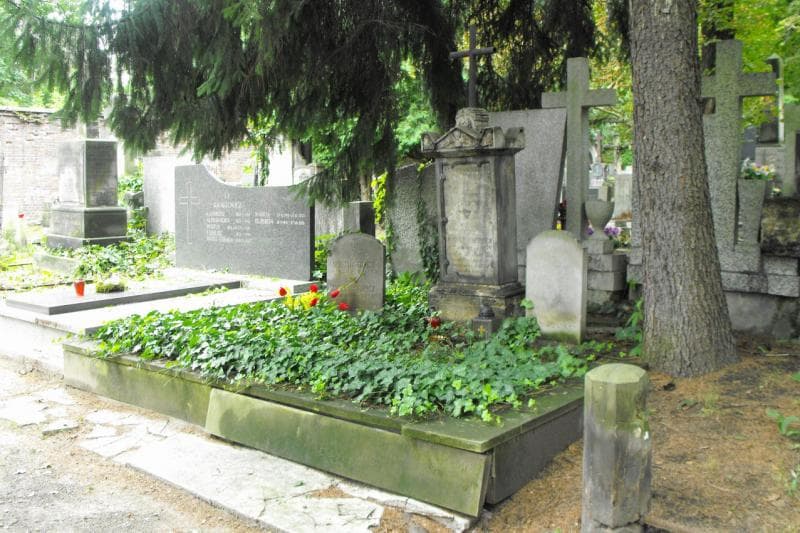 Zdjęcie grobu: Antoni Sewerynowicz