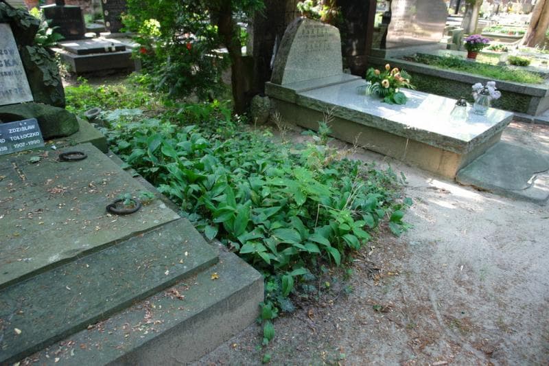 Zdjęcie grobu Pole Grobowe (1)