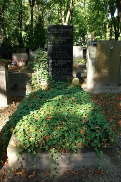 Zdjęcie grobu: Władysław Horodyski