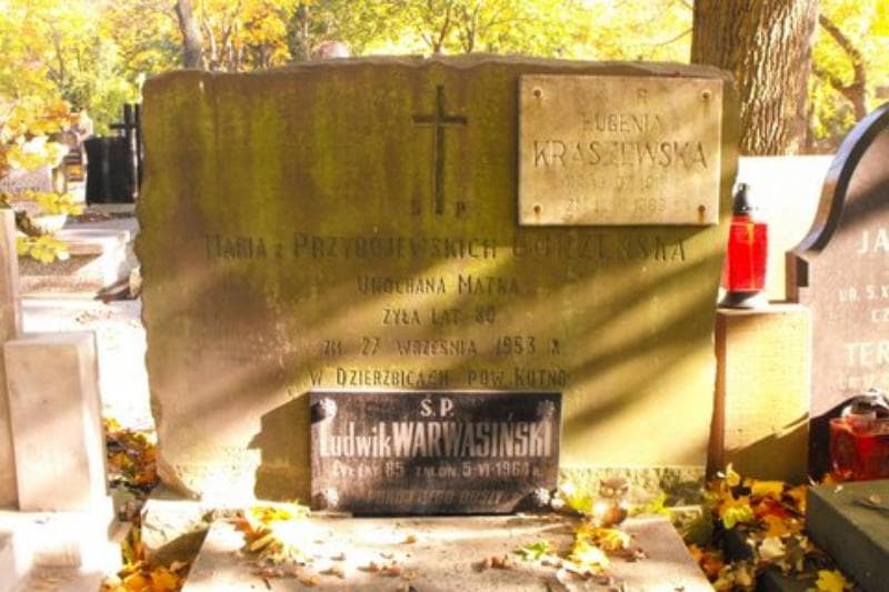 Zdjęcie grobu Ludwik Warwasiński (2)