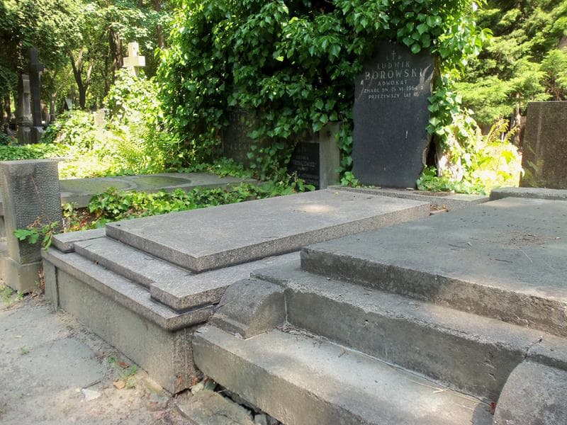 Zdjęcie grobu Ludwik Borowski (1)