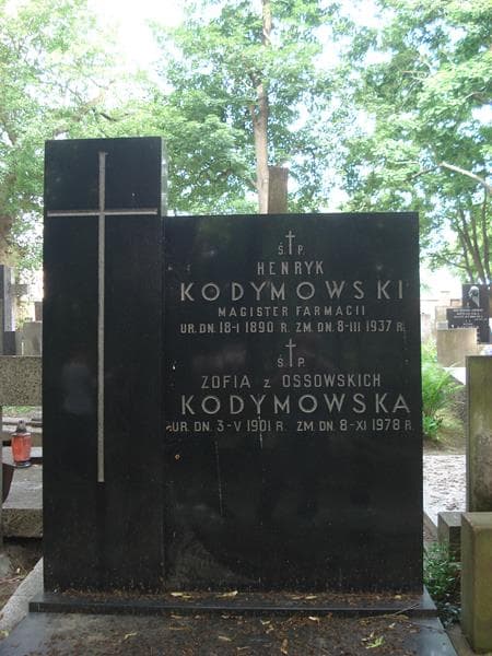 Zdjęcie grobu Henryk Kodymowski (1)