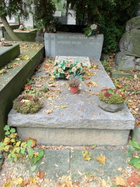 Zdjęcie grobu: Emilia Zofia Seler