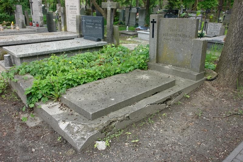Zdjęcie grobu Teofila Dorogostajska (1)