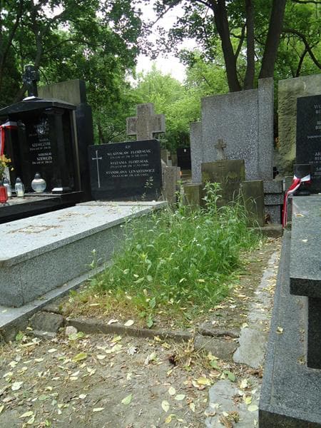 Zdjęcie grobu Zygmunt Putz (1)